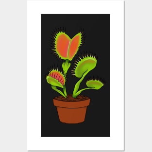 Dionaea Muscipula Venus Fly Trap House Plant Gift Posters and Art